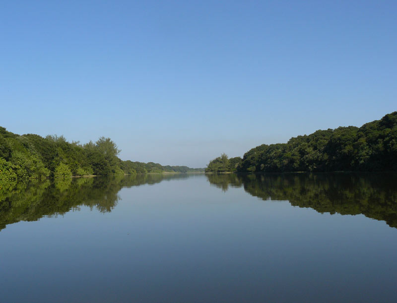 Aquatic Ecological Services