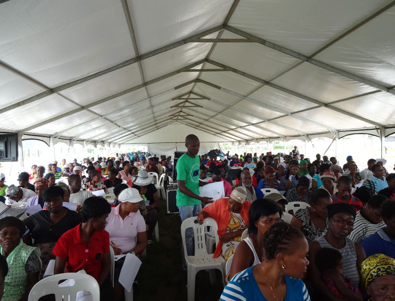 Public Participation and Translation Services