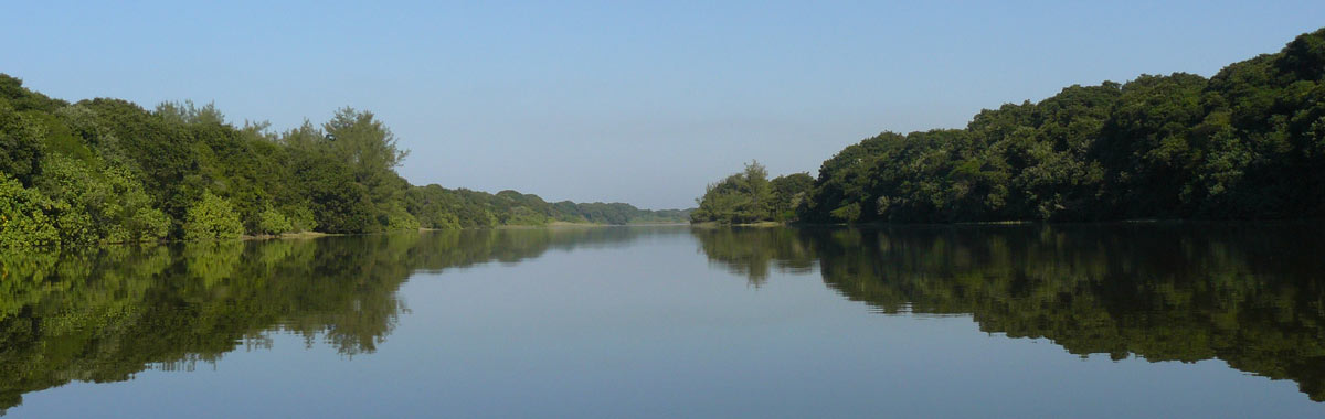 SURFACE WATER HYDROLOGICAL PROCESSES banner35