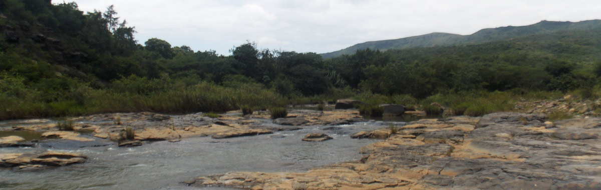 ENVIRONMENTAL IMPACT ASSESSMENTS banner1