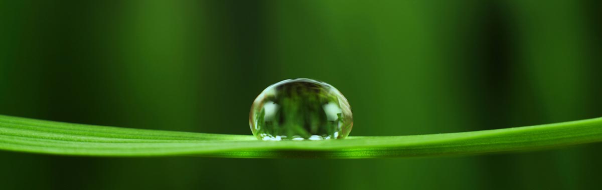 ANCILLARY SERVICES banner35