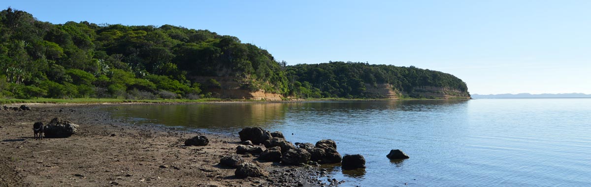 SURFACE WATER HYDROLOGICAL PROCESSES banner35