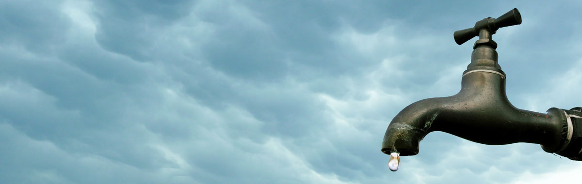 banner1